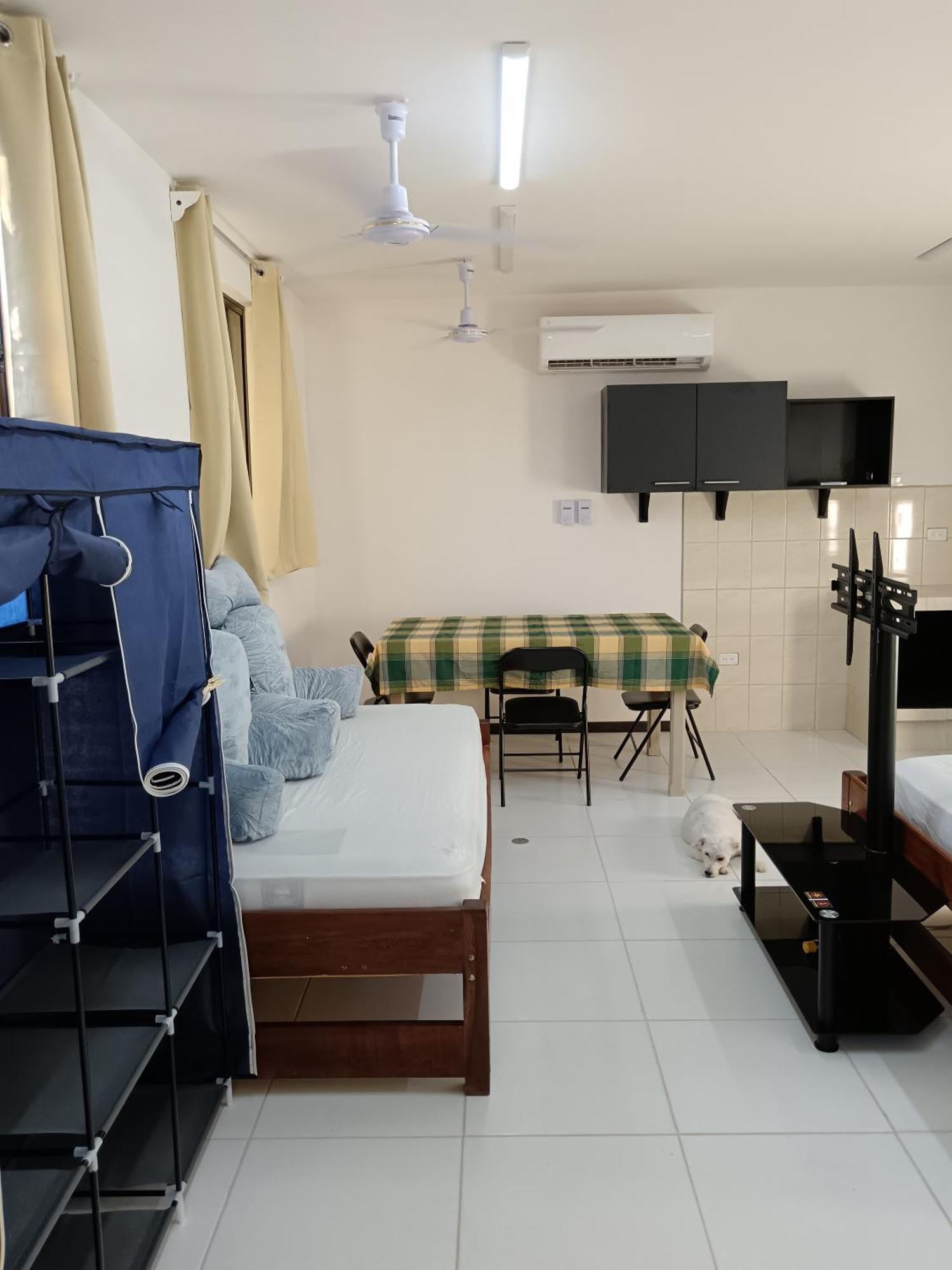 Cabinas Dormi Bene Miramar Buitenkant foto