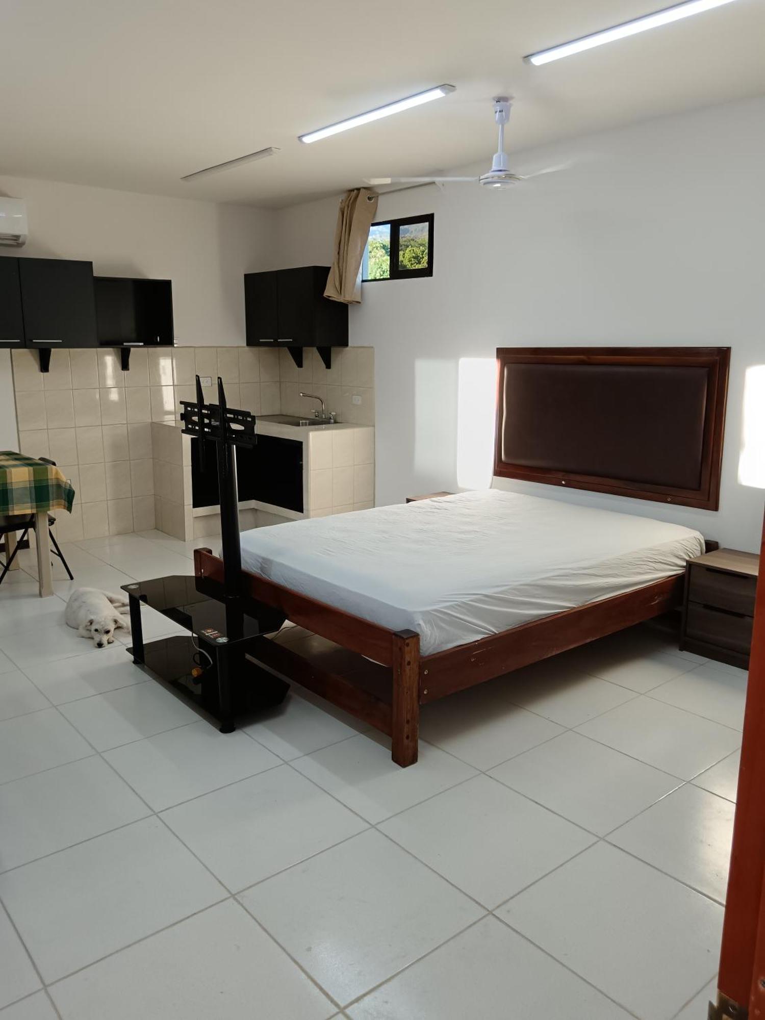 Cabinas Dormi Bene Miramar Buitenkant foto